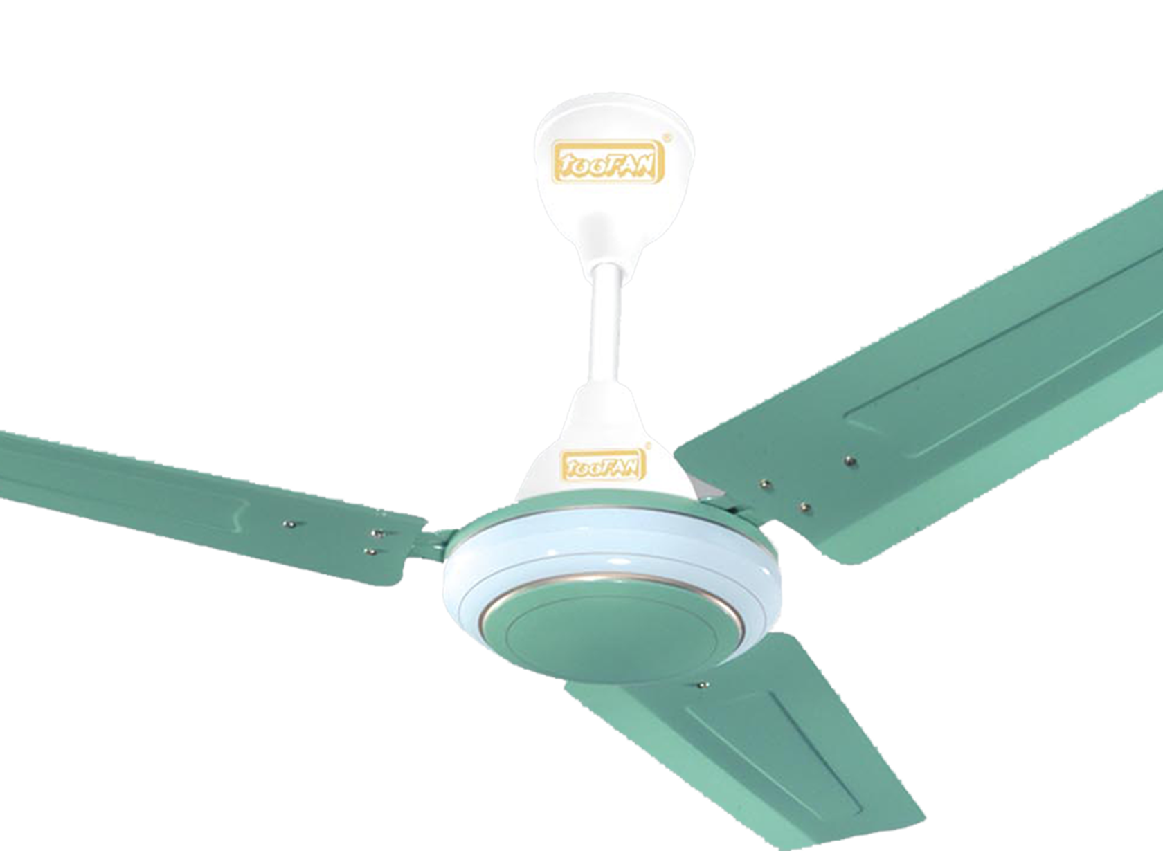 1200-mm-Dynora_small