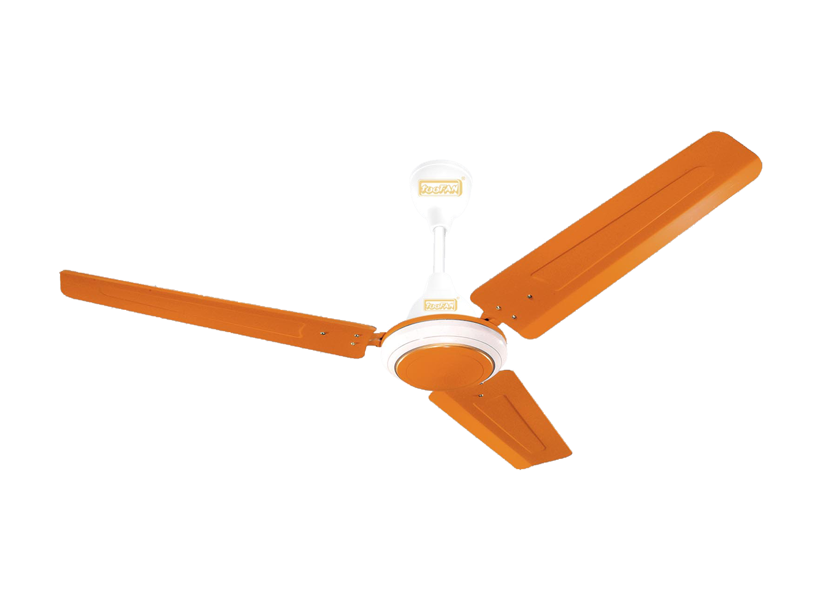 1200-mm-MARYGOLD