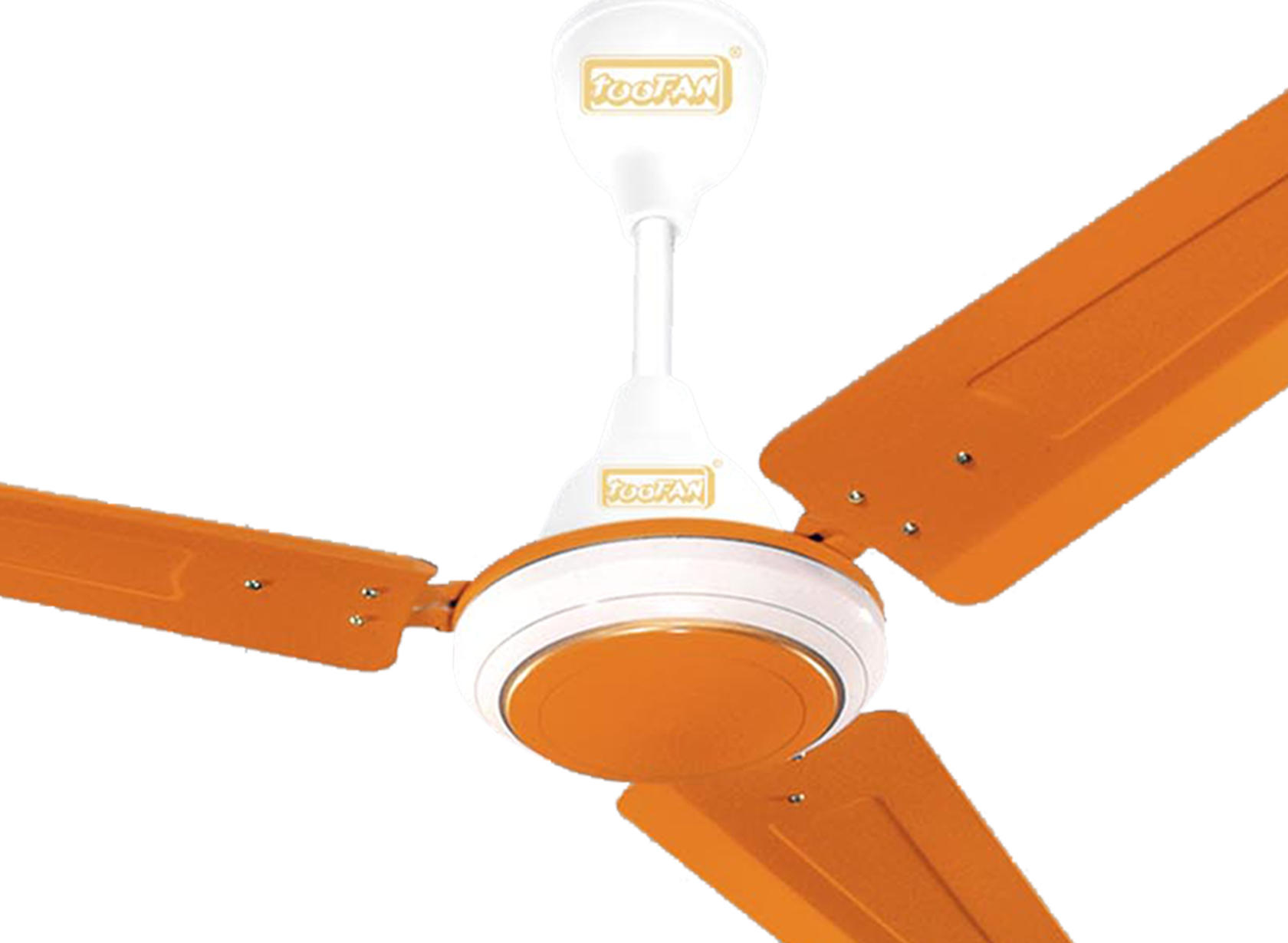 1200-mm-MARYGOLD_small