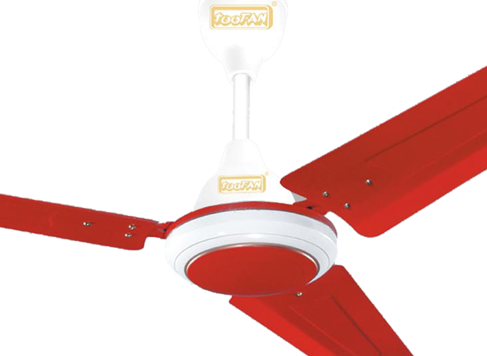 1200-mm-Red-Rose_small