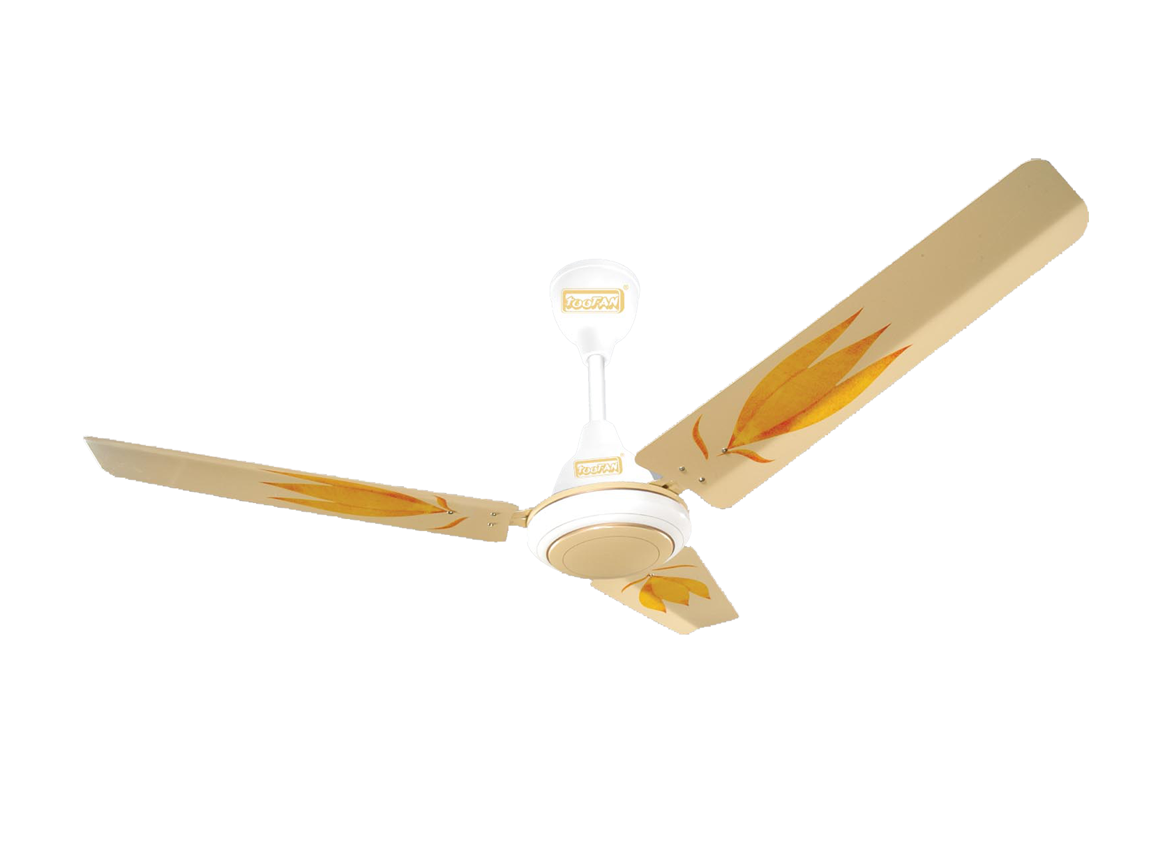 1200-mm-Summer-Queen