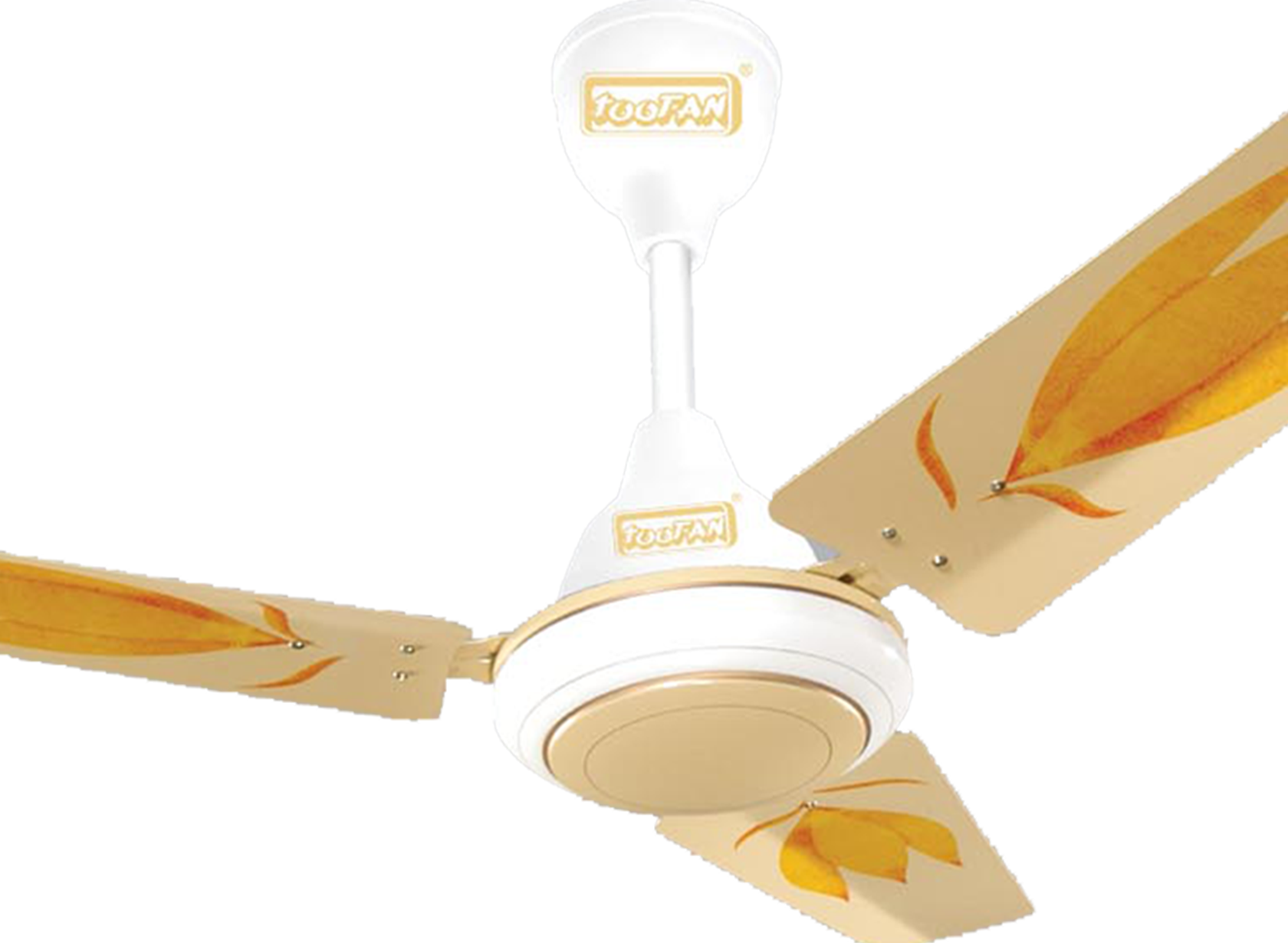 1200-mm-Summer-Queen_small