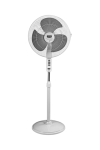 Pedestal Fan